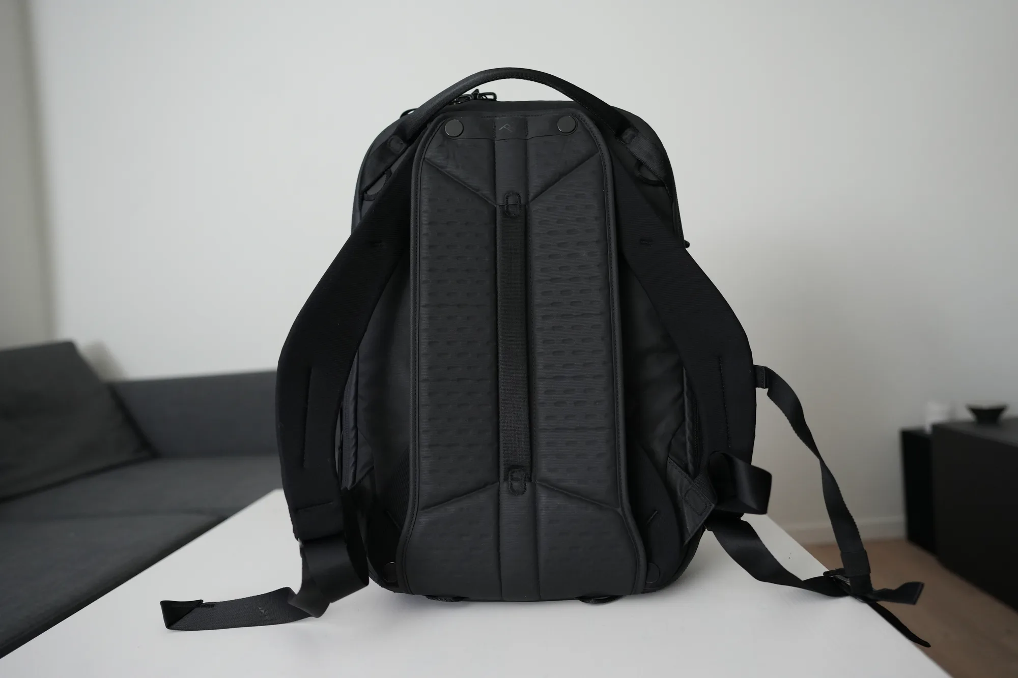 Peak Design Travel Backpack 30L back panel without hip belt installed