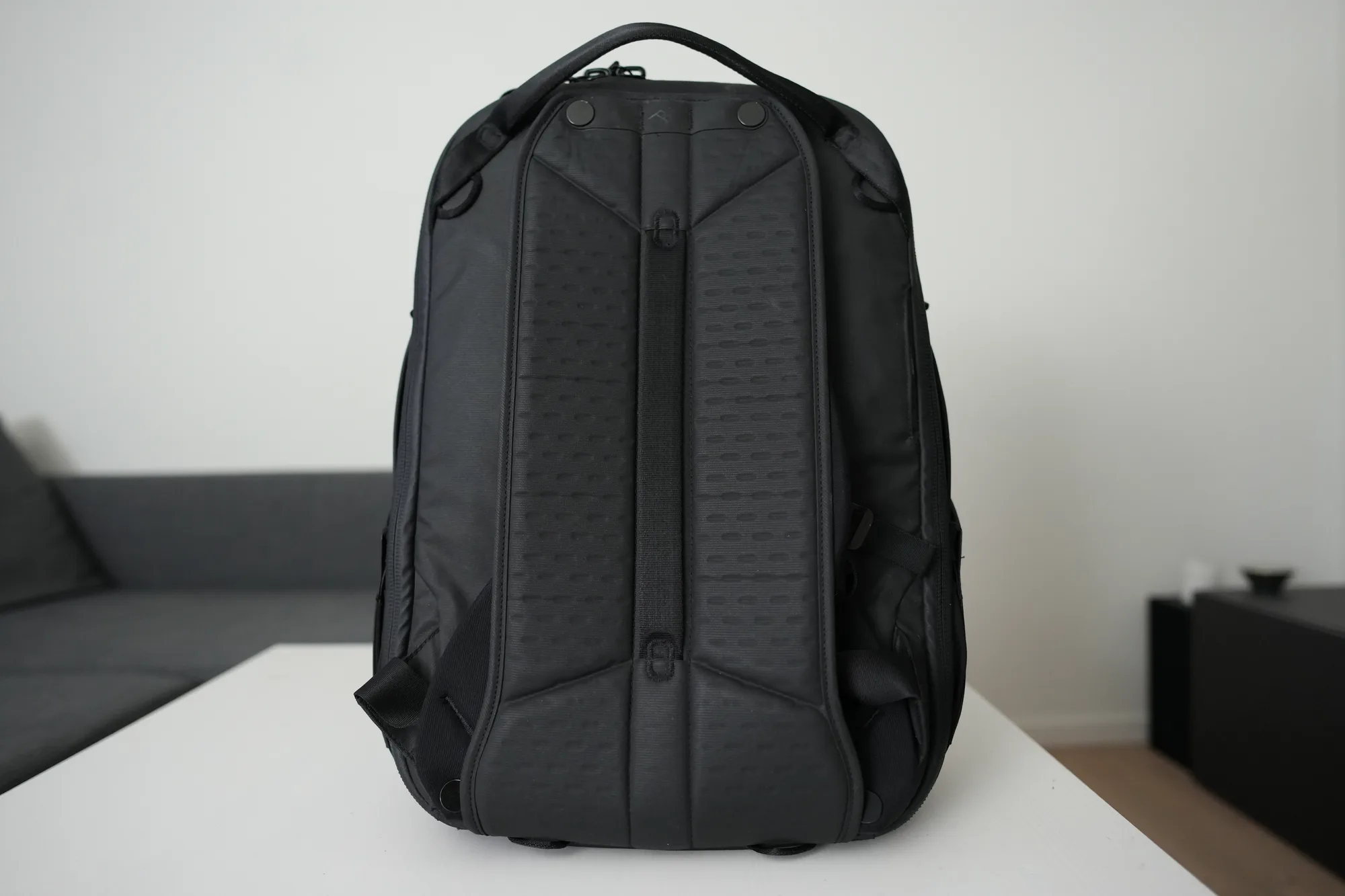 Peak Design Travel Backpack 30L rear view without hip belt