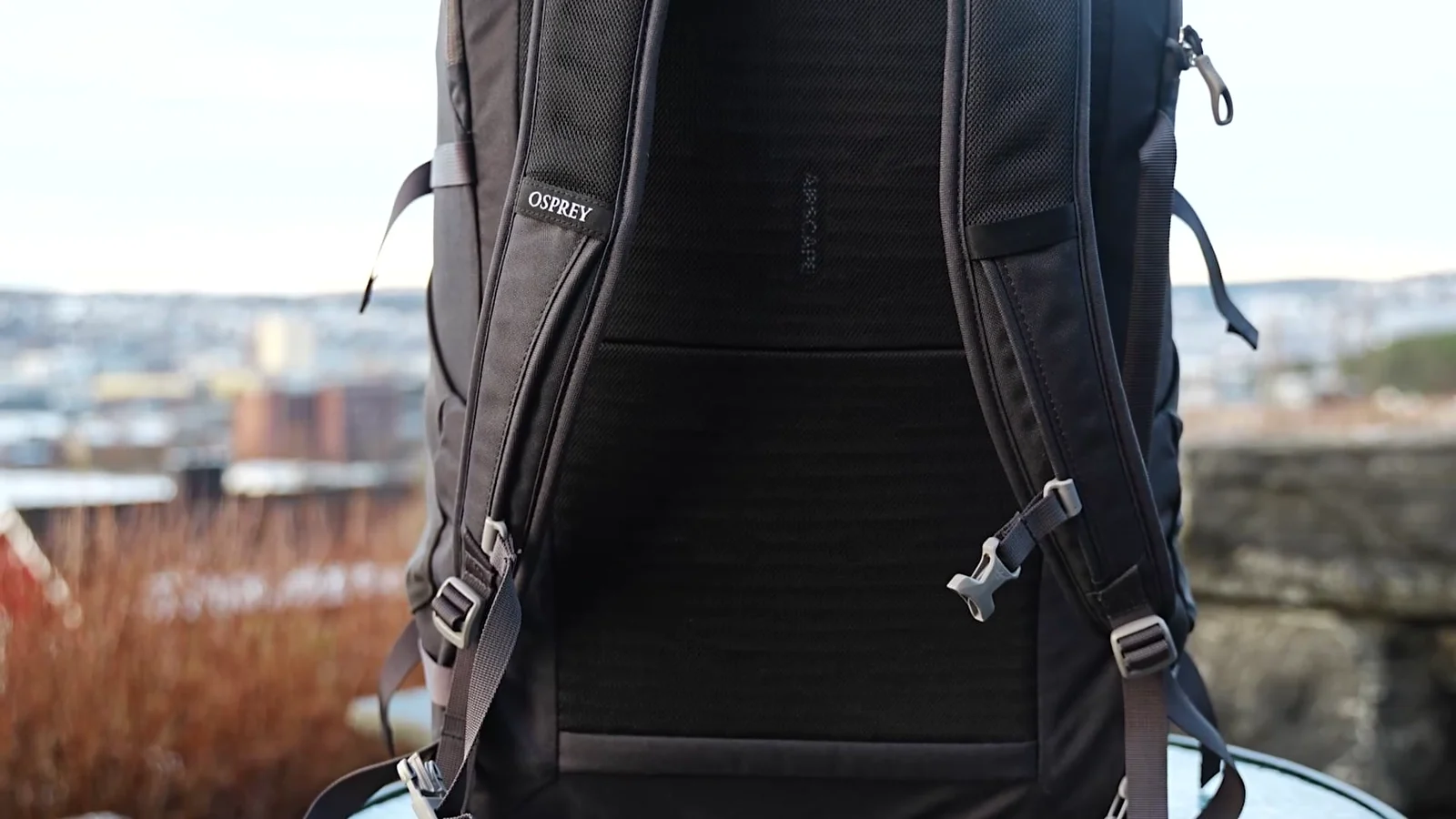 Osprey Daylite AirScape back panel with shoulder straps and sternum strap